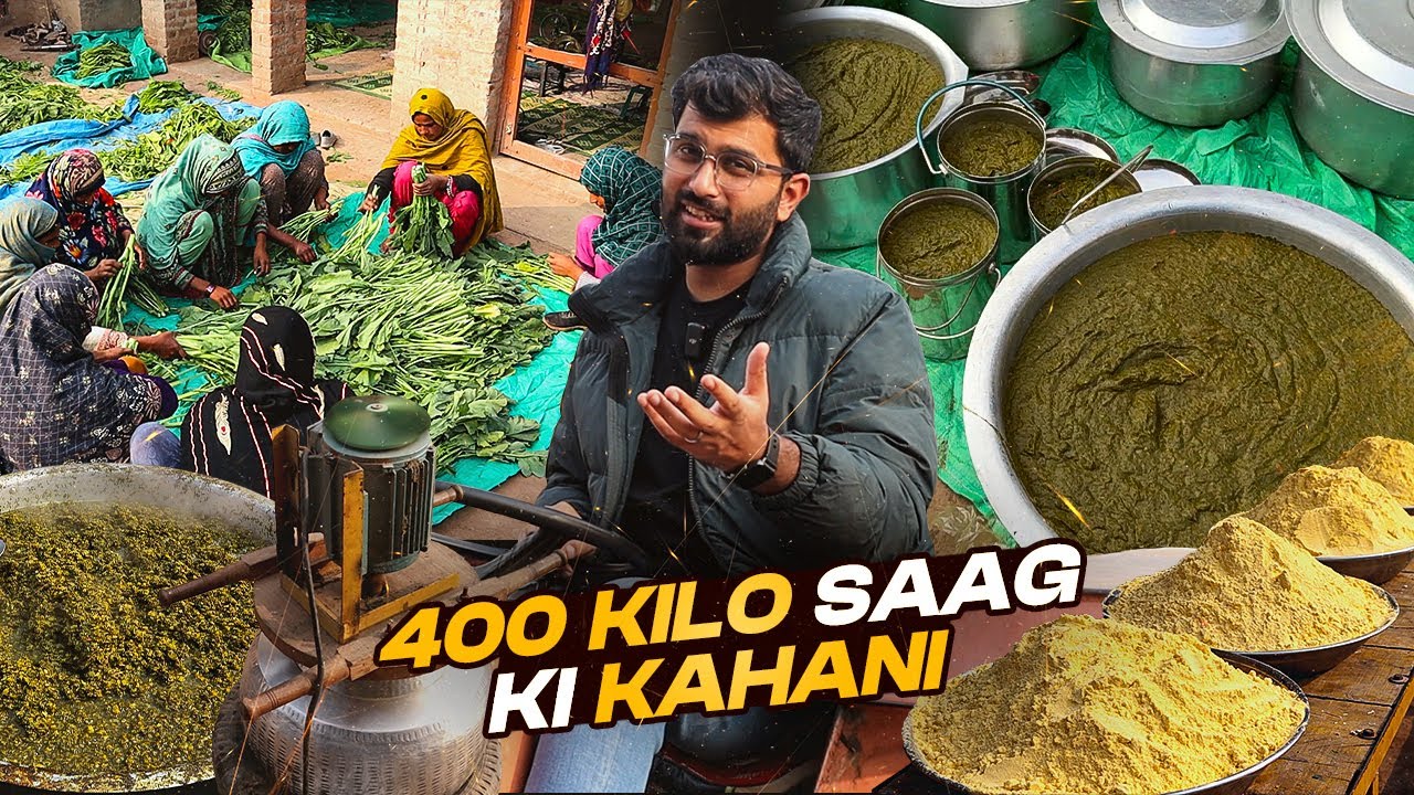 Making of 400 KG of Sarsoon Ka Saag in GutWala Faisalabad @MrZezoTheFoodie  | Worldwide Famous Saag