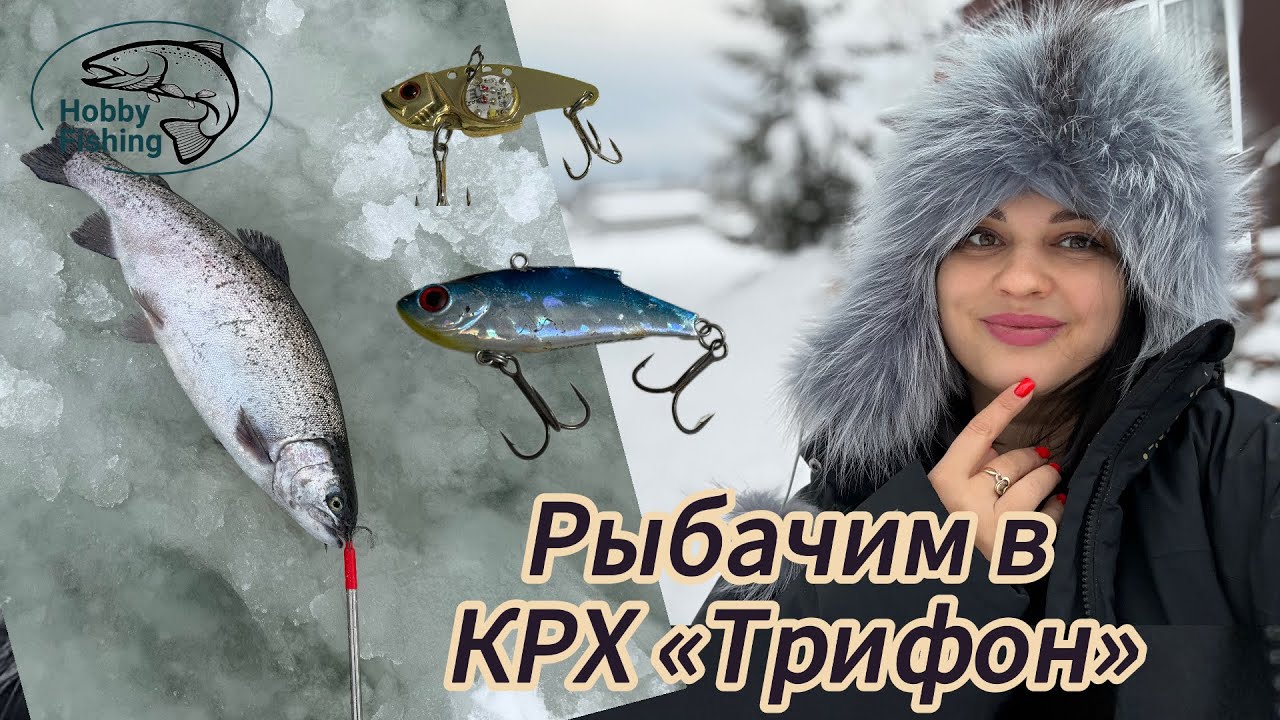 Форель со льда. КРХ «Трифон»