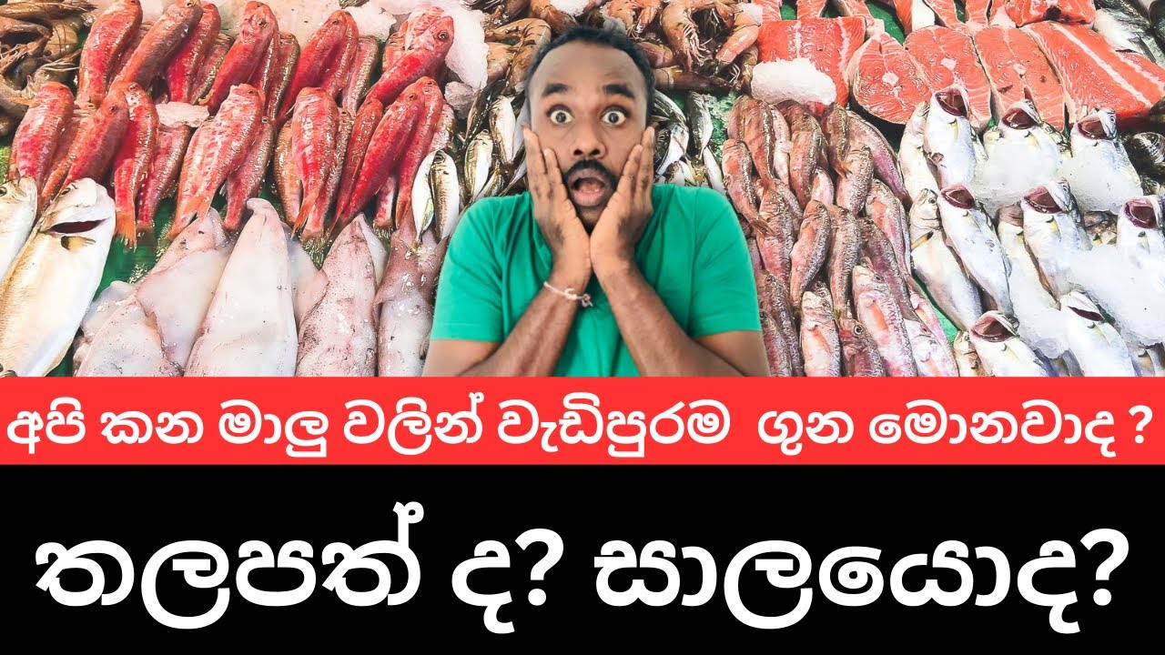 අපි කන මාලු වර්ග වලින් වැඩිපුරම ගුන මොන මාලුද? ඇත්ත දැනගමු