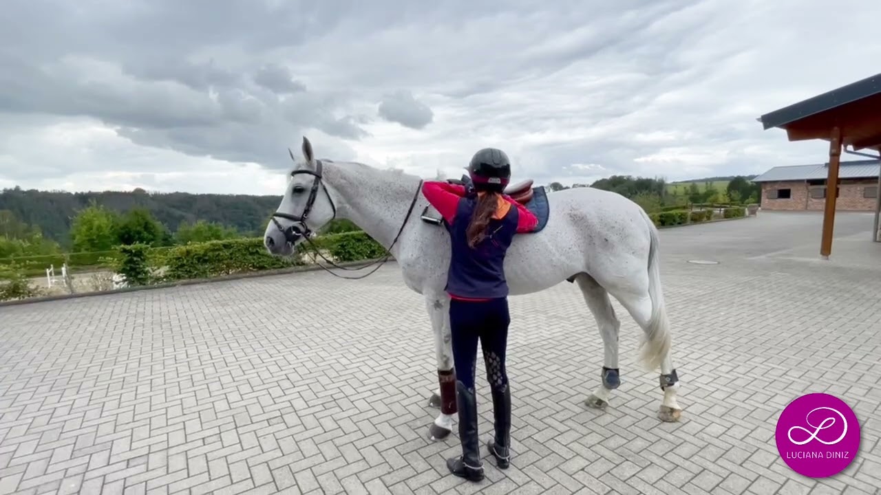 Luciana Diniz - Tuesday Exercise - Training without stirrups