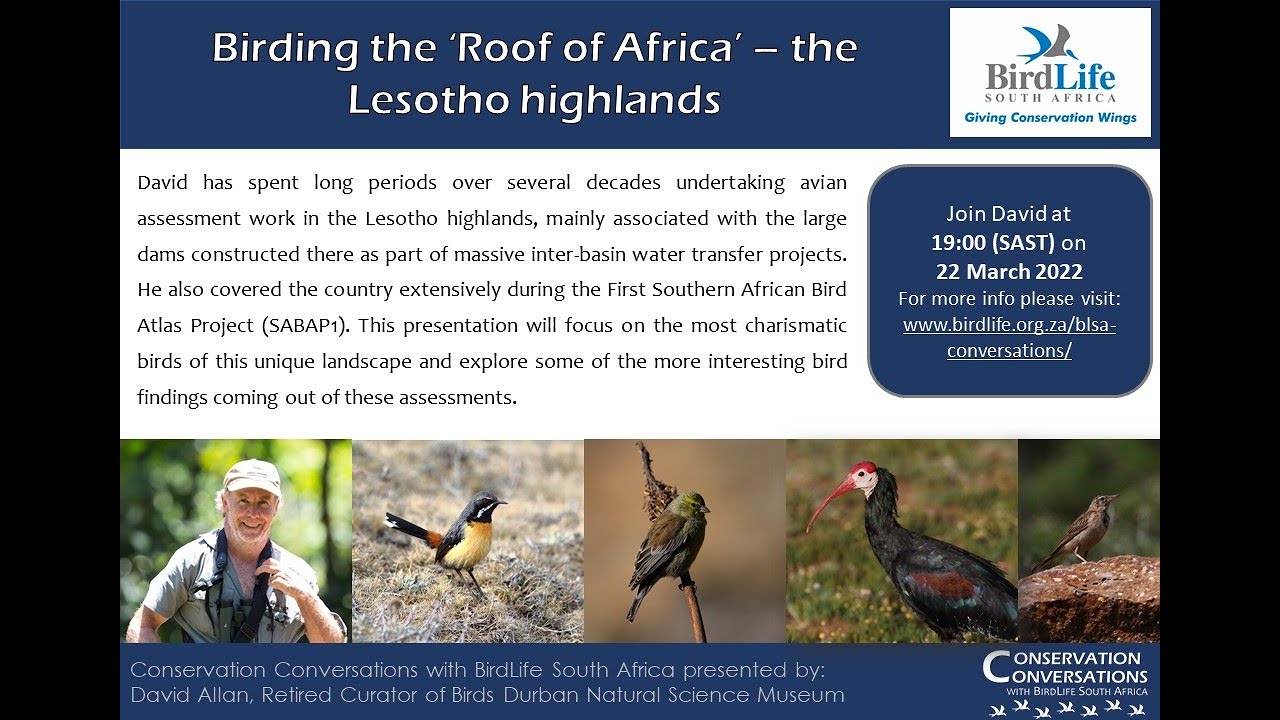 Conservation Conversations: David Allan - Birding the Roof of Africa (22Mar22)