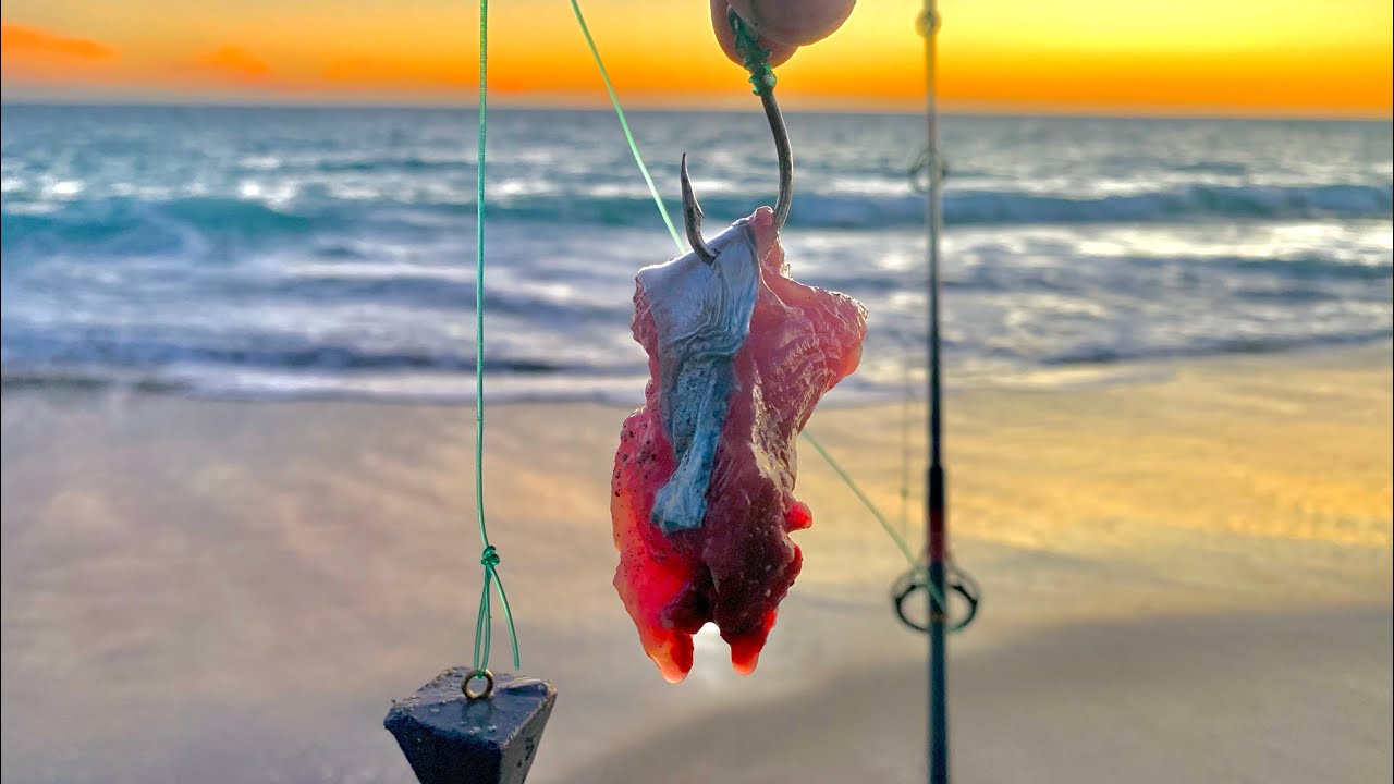 Pesca con CARNADA de ORILLA en BAJA CALIFORNIA SUR.