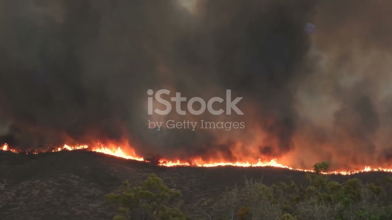 Texas Wildfires: A Fiery March 2025 Update