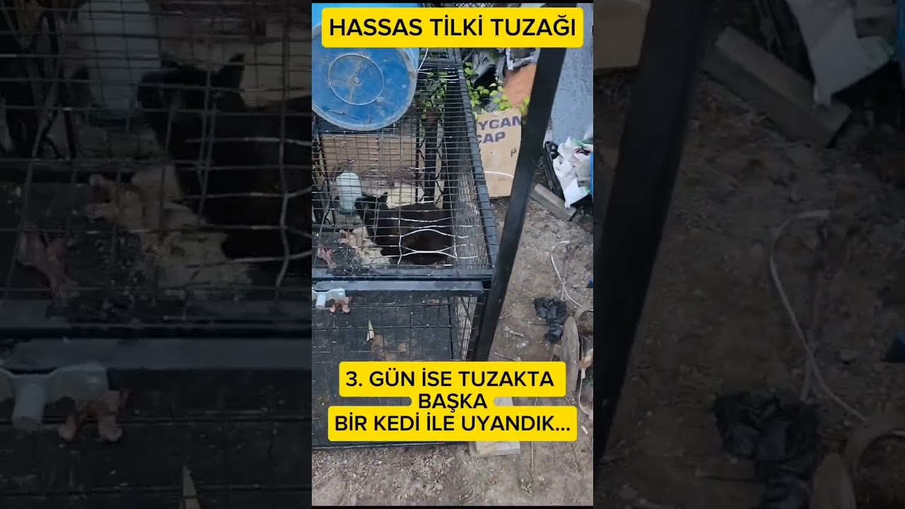 TİLKİ TUZAĞI