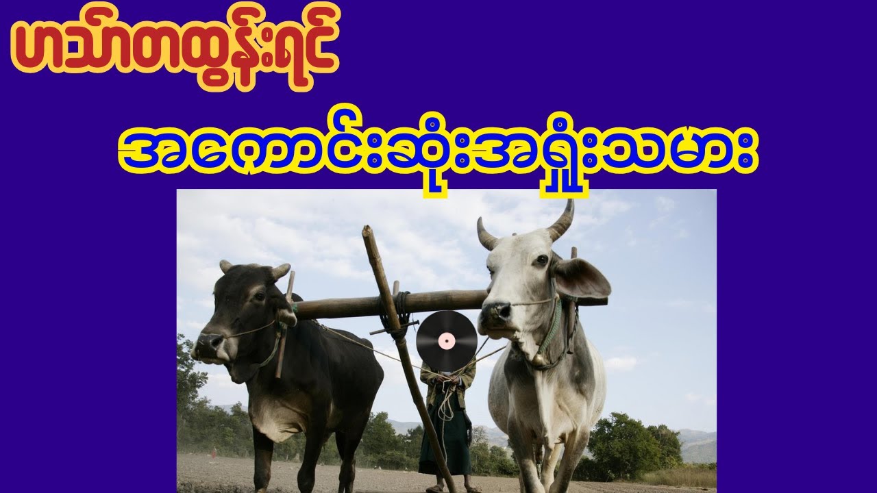 အကောင်းဆုံးအရှုံးသမား(ဟင်္သာတထွန်းရင်) #မြန်မာသီချင်း