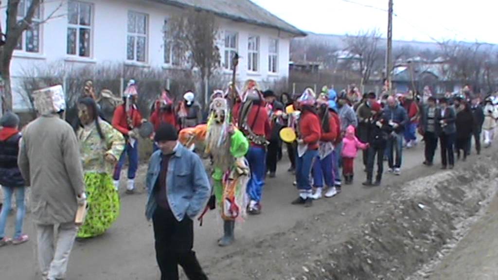 cerb costesti 3