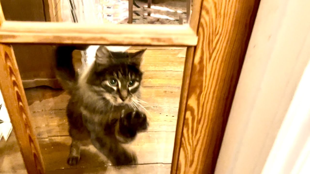 Eric says, “let me in!”