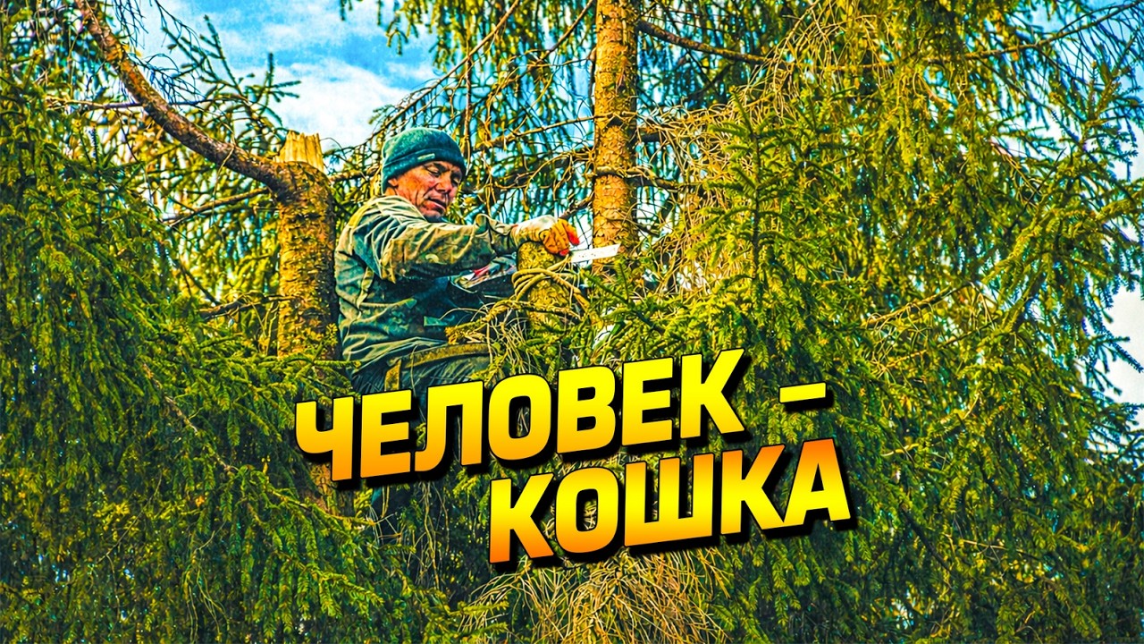Человек-паук или человек-кошка? Пилим деревья на участке. Псебай Мостовской район Краснодарский край