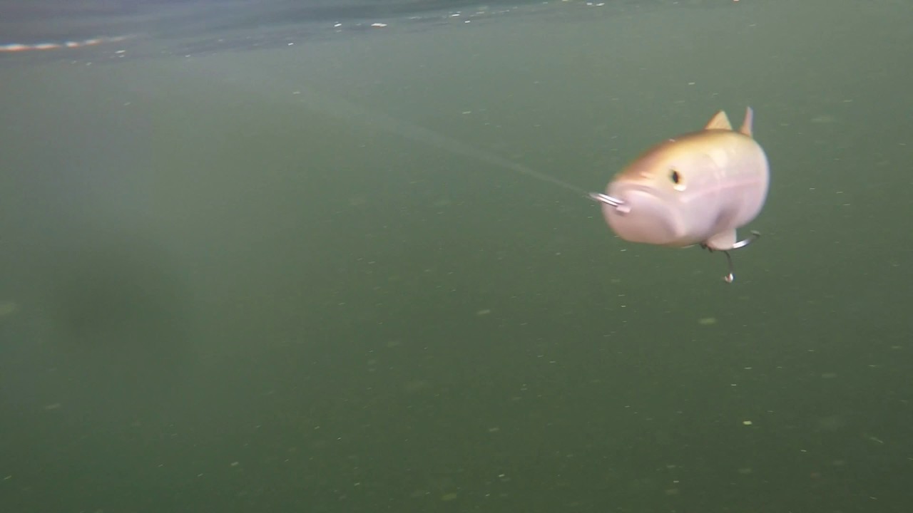 Deps SlideSwimmer 250 Underwater