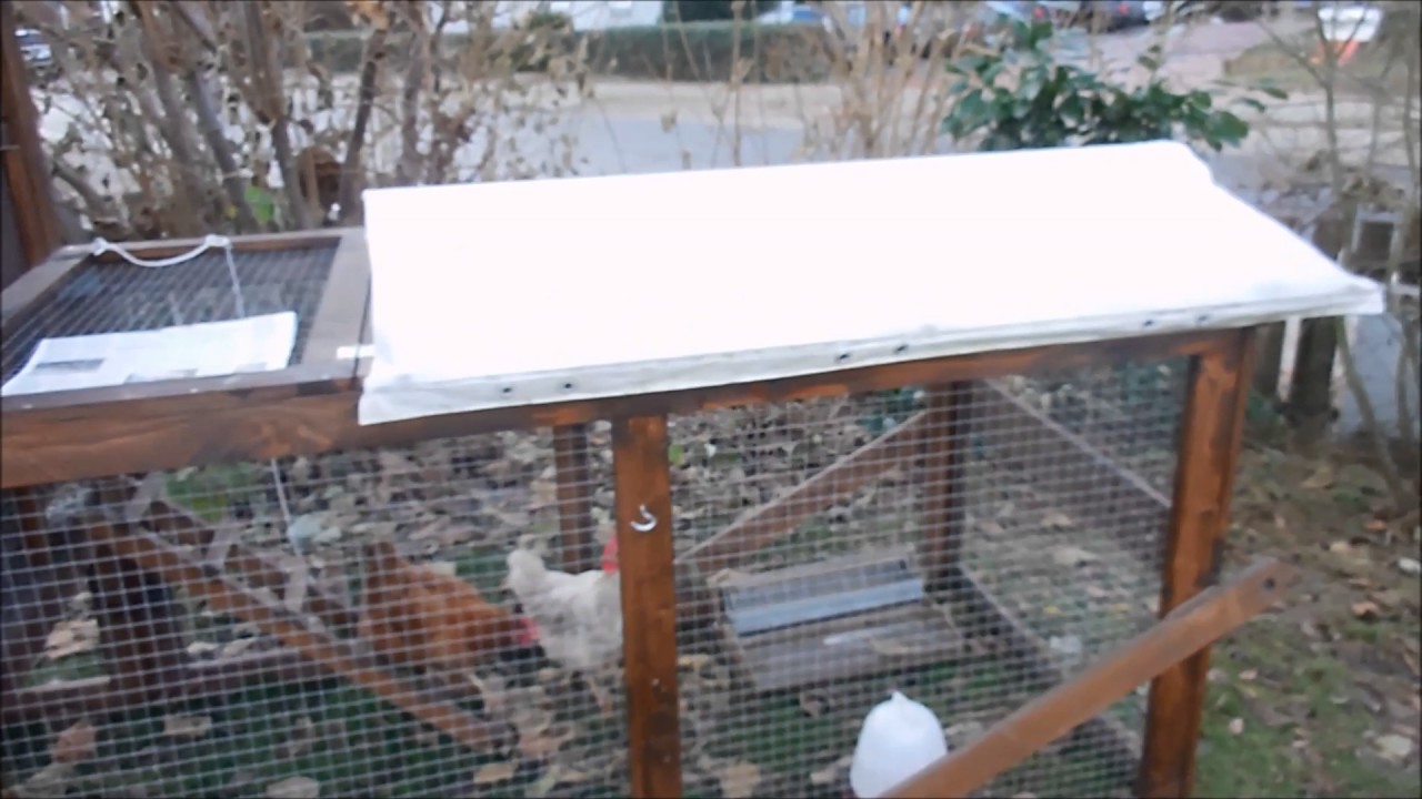Vogelgrippe - Stallpflicht f&uuml;r unsere H&uuml;hner