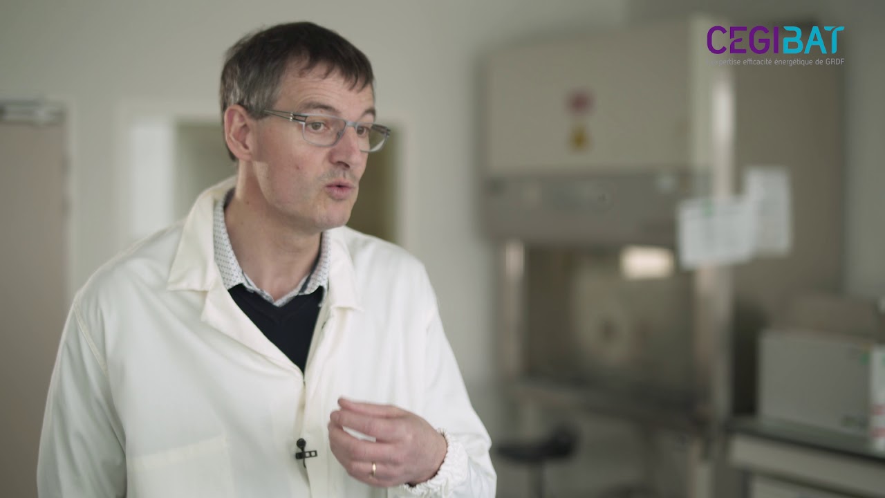 Légionelles et légionellose : causes, prévention et traitements | Cegibat