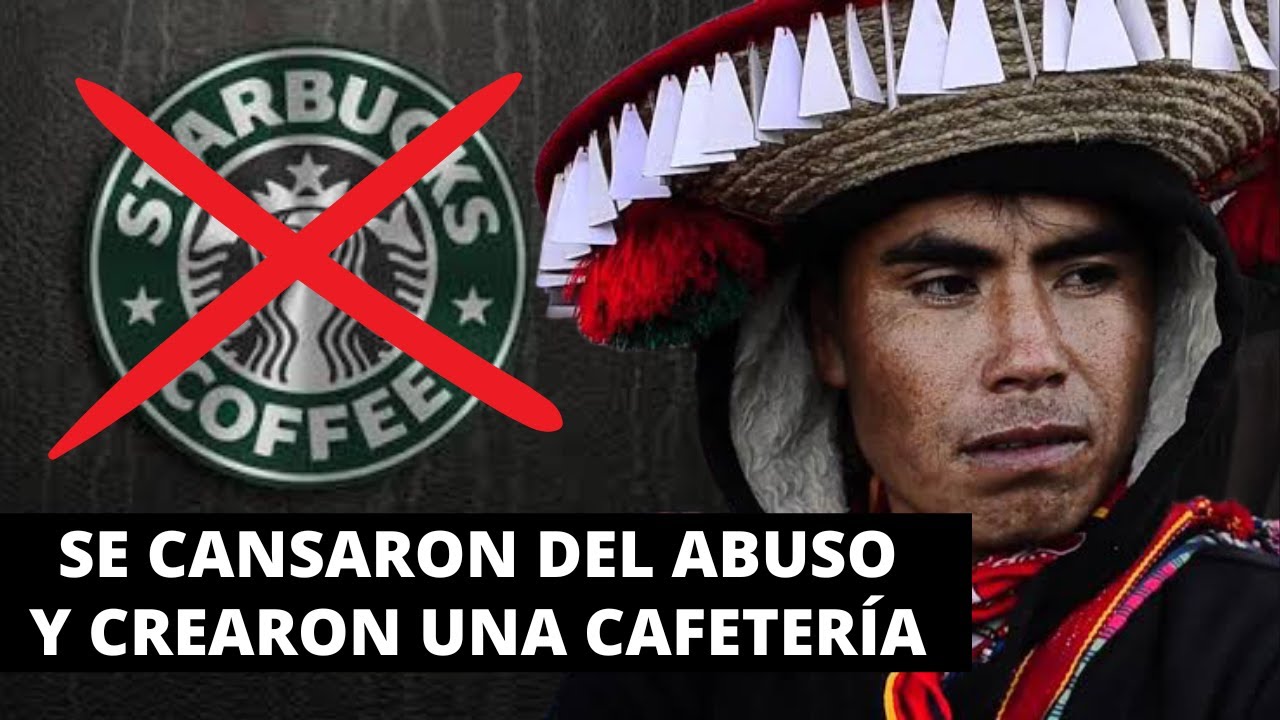 EL DÍA QUE LOS PRODUCTORES VENCIERON A LAS GRANDES EMPRESAS DE CAFÉ | CASO CAPELTIC | COMERCIO JUSTO