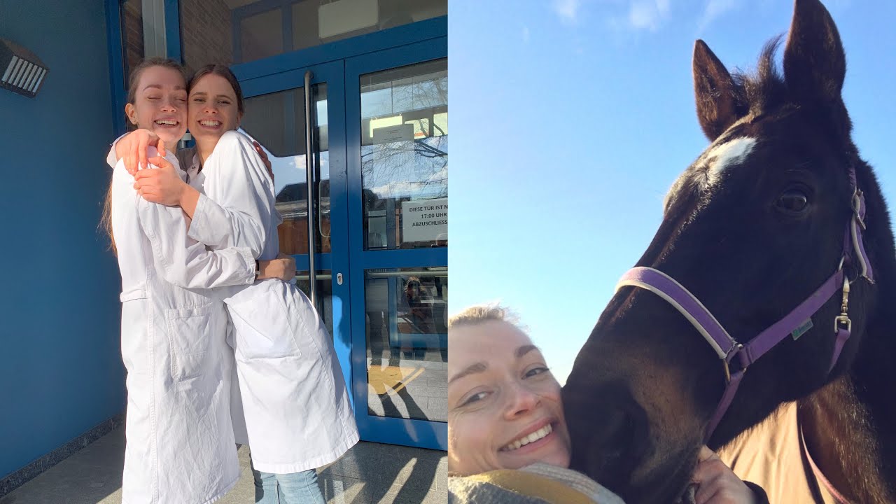 Physikum Anatomie 2020