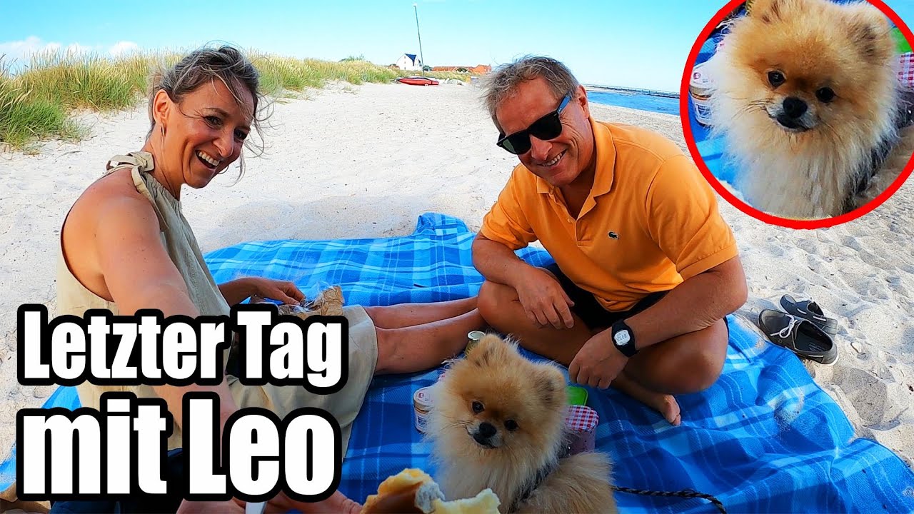 Unser letzter Tag mit Hund - Leo verlässt uns 😎 AddiHabibi Vlog