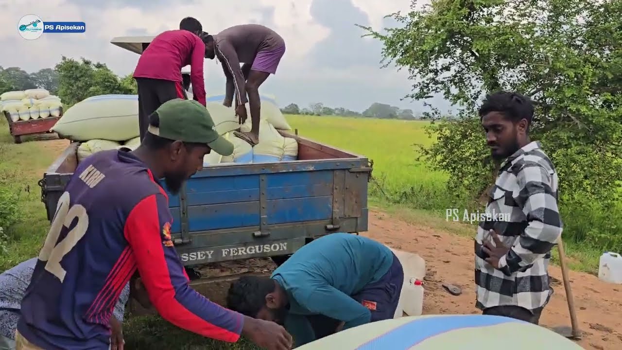 முல்லைத்தீவு விவசாயிகளின் நிலை | குமுழமுனை | தண்ணி முறிப்பு 