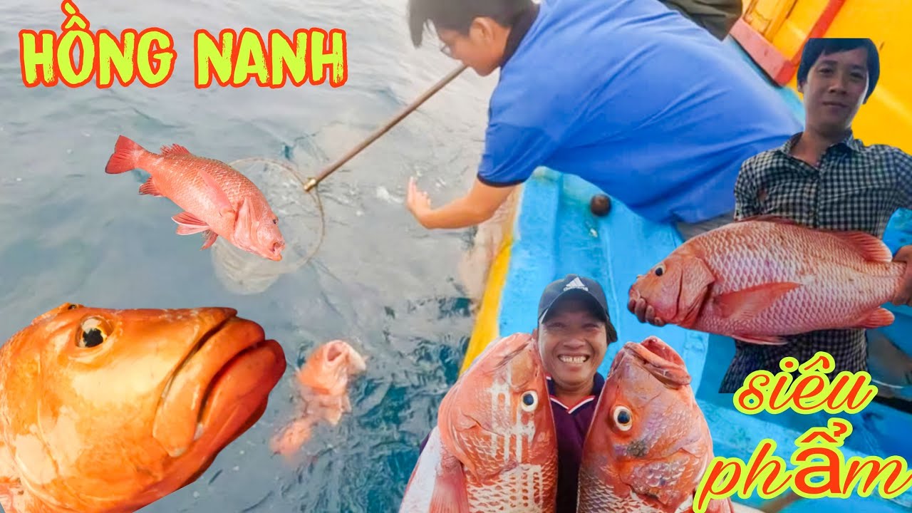 CÂU TAY 17_Lần Đầu Tiên Thấy Cá HỒNG NANH To Khủng C.ắ.n Câu_S.Ố.C NẶNG Khi Biết Số Tiền Chia Của Ae