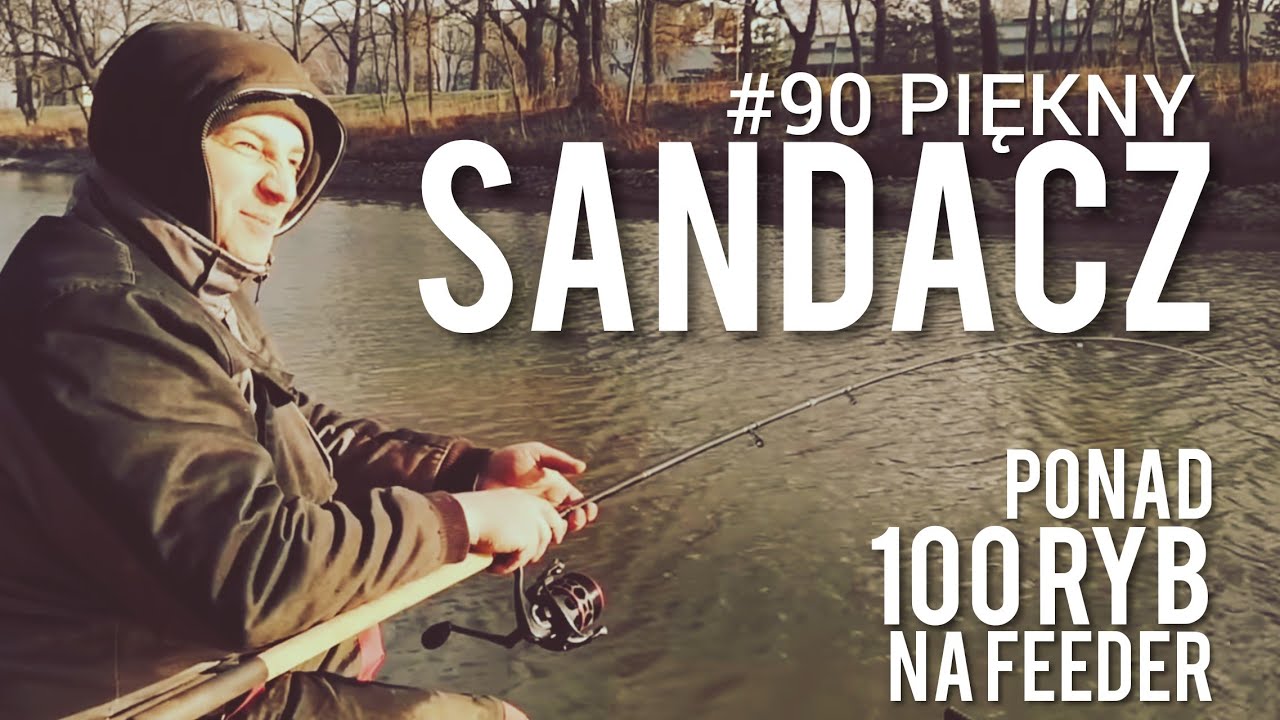 #90 Sandacz na feeder i ponad 100 ryb! Wrocław PZW 🦈