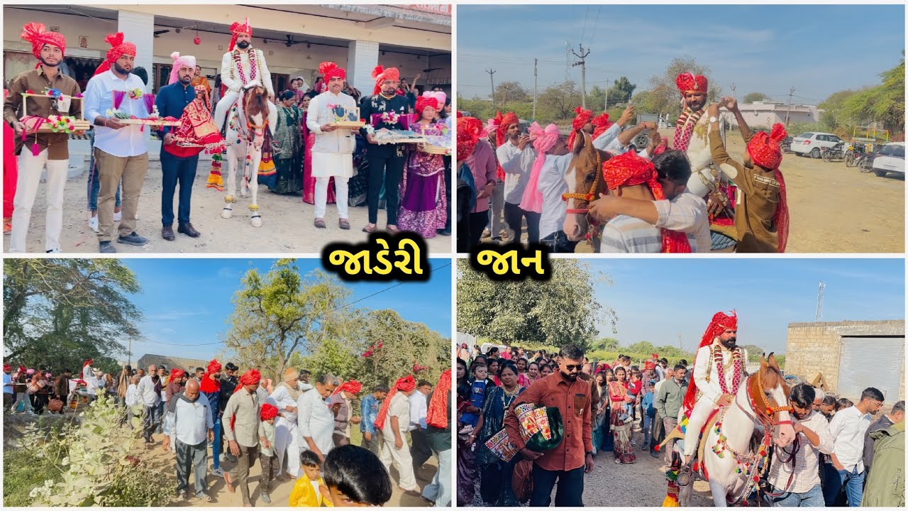 ભાઈની મોંઘેરી જાન- શુભ લગ્ન ડાંગર પરિવાર - Bhai ni Jaan @SDAayar 