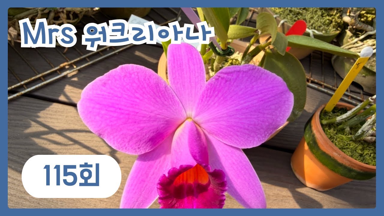 명절 이벤트상품이 있습니다~