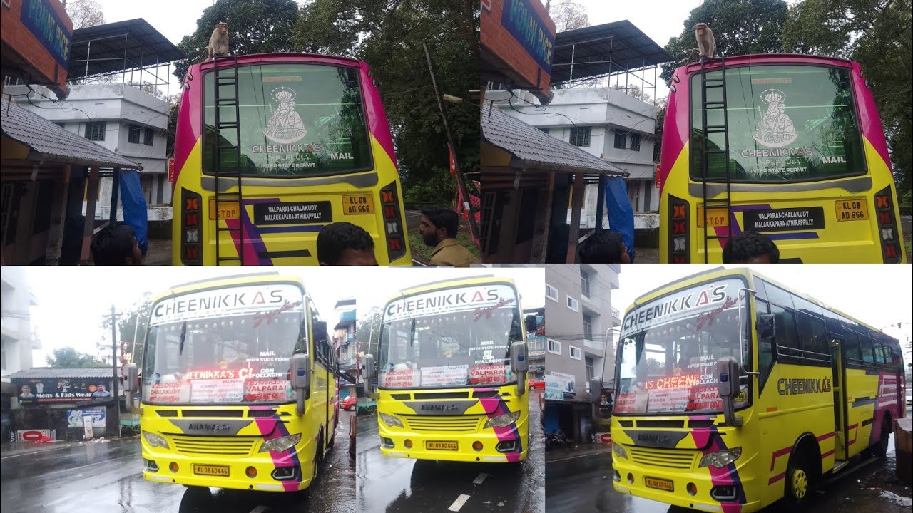 Valparai to Chalakudy Full Journey CHEENIKKAS Inter state ബസിൽ വാൽപാറെ to ചാലക്കുടി യാത്ര