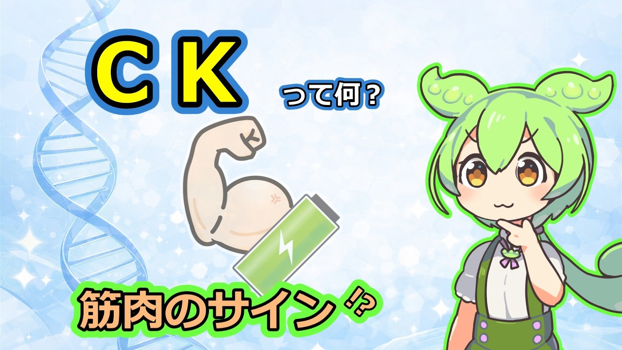 【ゆっくり解説】CK(クレアチンキナーゼ)って何？健康でも高値になるワケ～筋肉からのSOS⁉～