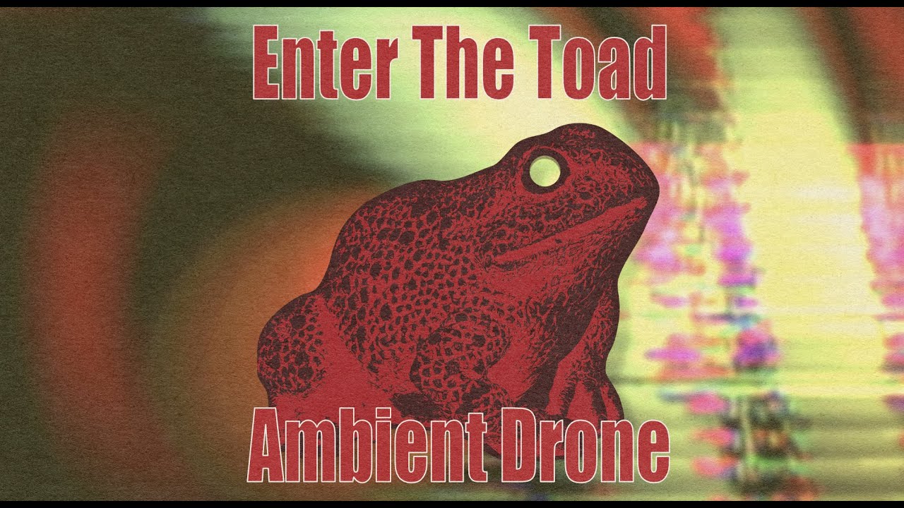 The Toad Ambient Sound Lab