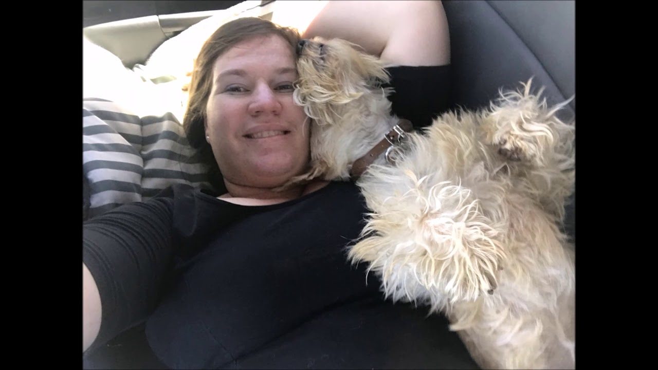 Why you Should get a Scottie