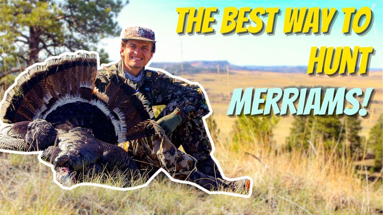 The BEST WAY to hunt MERRIAMS TURKEYS! - Public Land Gobblers