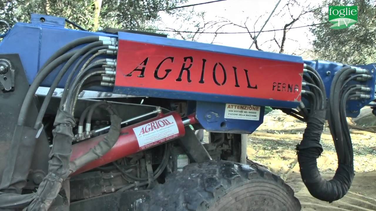 FOGLIE TV  - Agrioil tutto per la raccolta di frutti pendenti