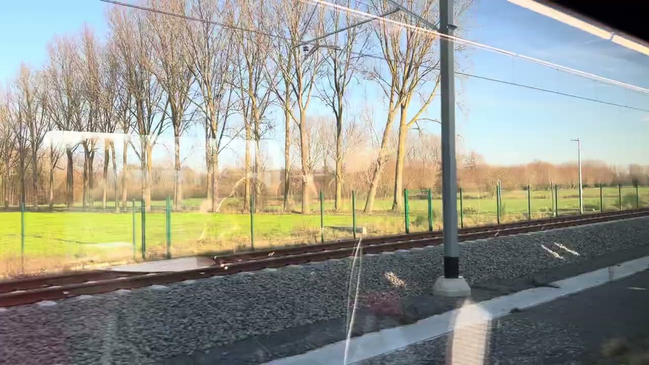 BELGIUM 🇧🇪 