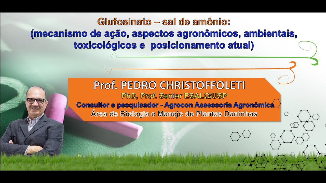 1   eaula   Oque e glufosinato Christoffoleti