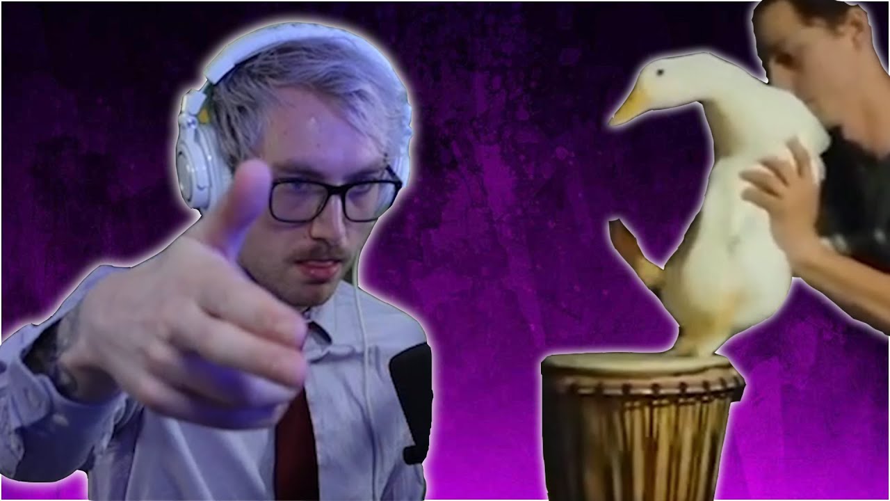 Duck Plays Bongos, I Make Song