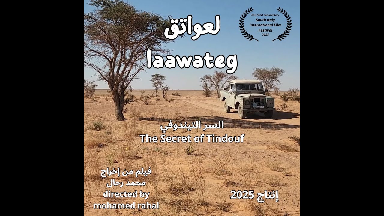 فيلم 