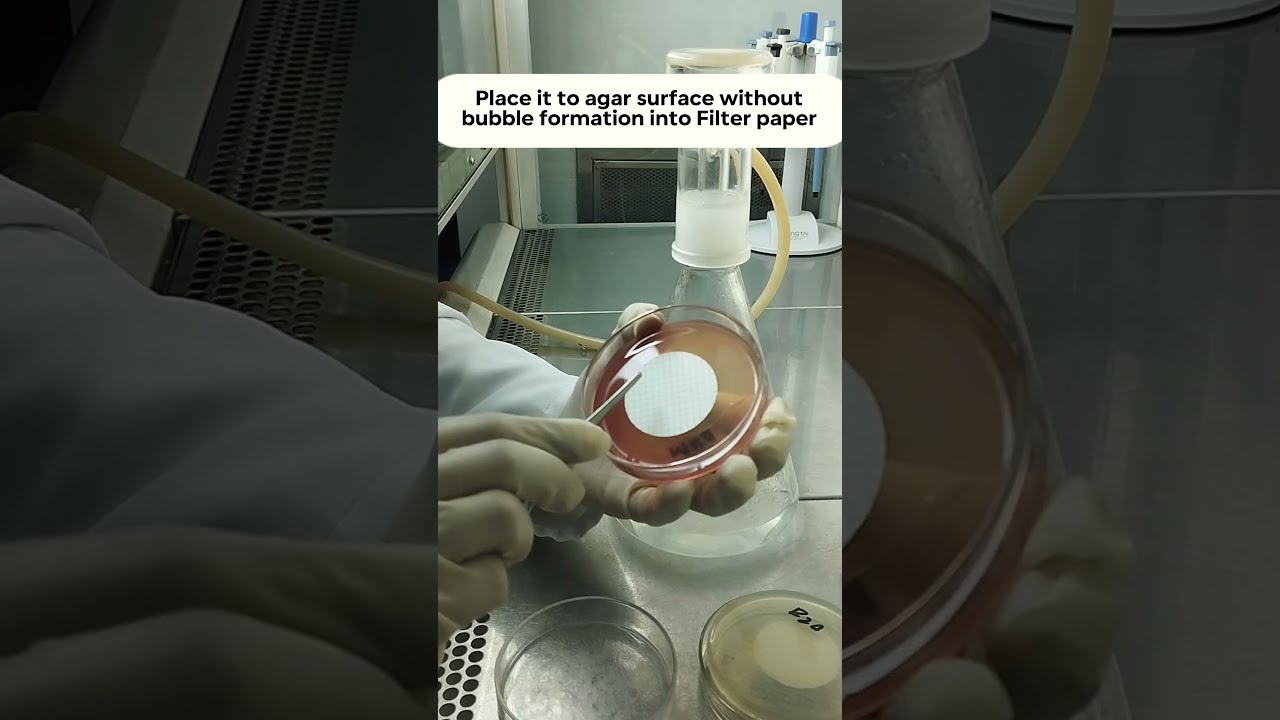 Filter Paper on Agar Plate  | Bio burden by Filtration Method