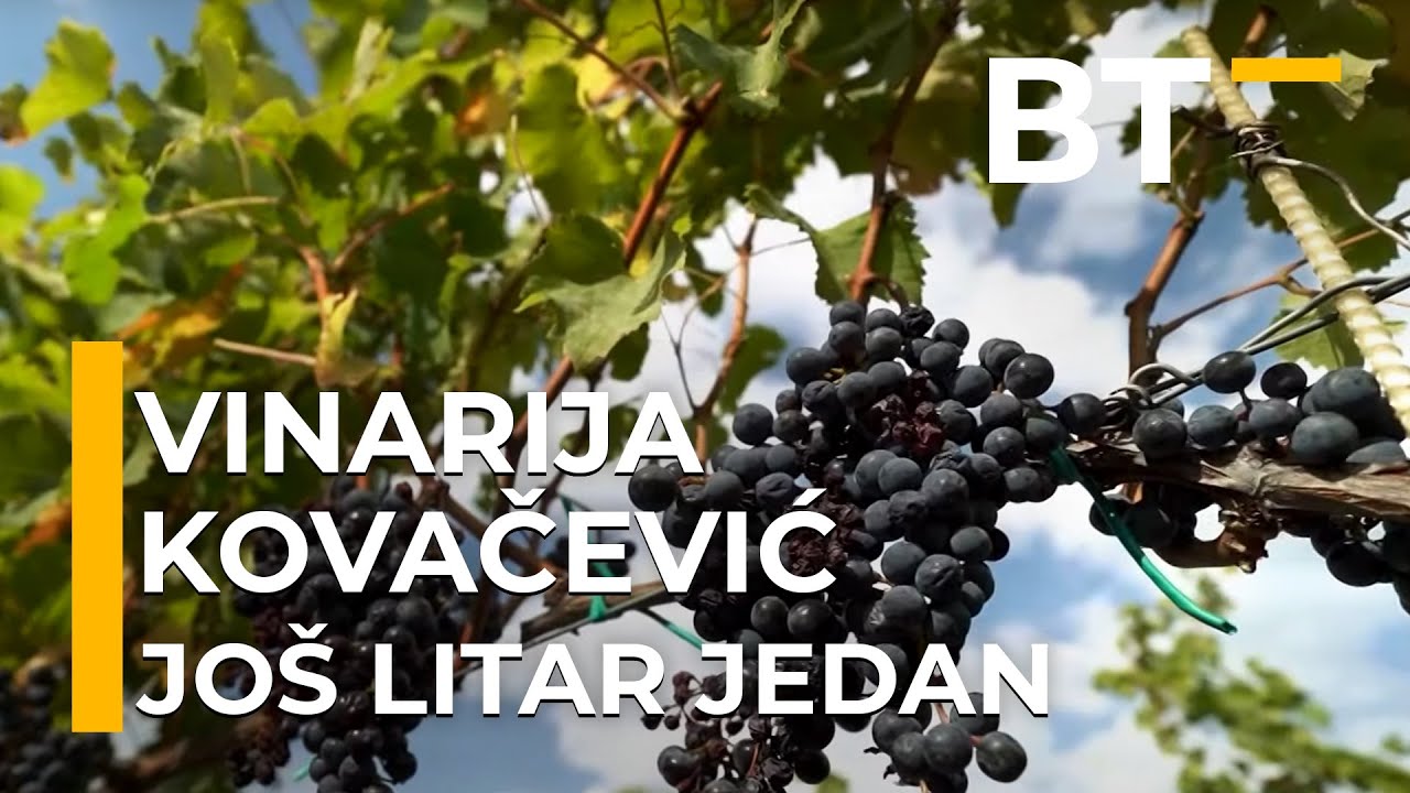 JOS LITAR JEDAN   KOVACEVIC  Balkantrip TV