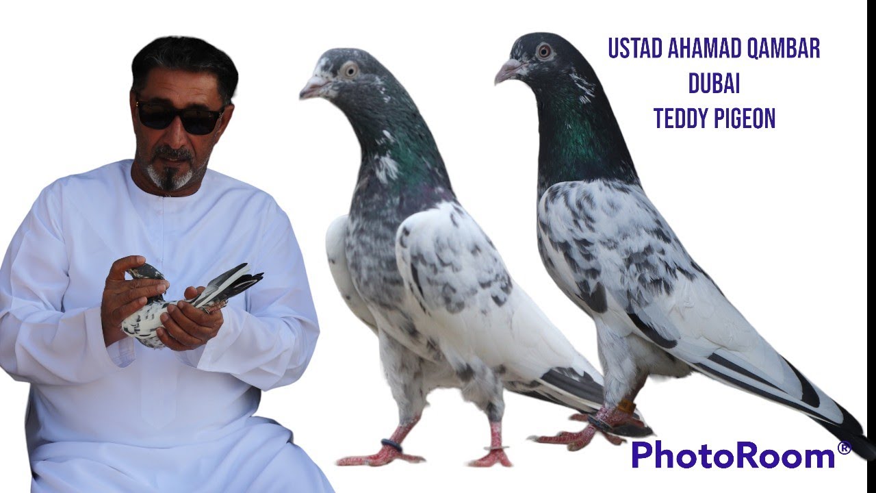 Ustad Ahamad Qambar Dubai by kamal arora