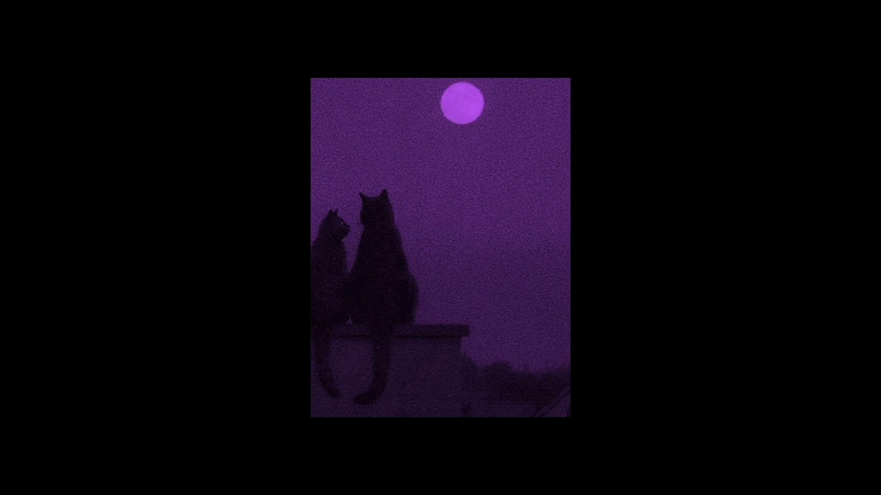 speed gang - Red lipstick {slowed+reverbed}