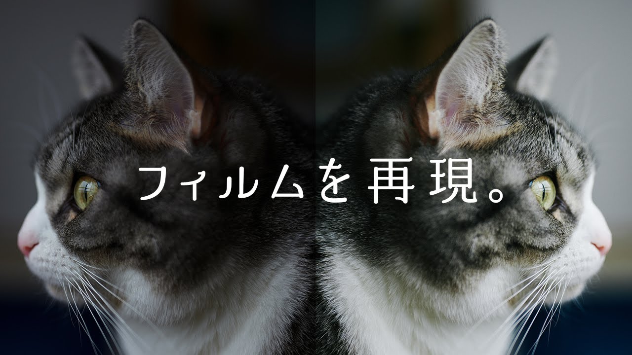 Raw現像でフィルムの色を再現する【Lightroom,Capture One,Davinci resolve】