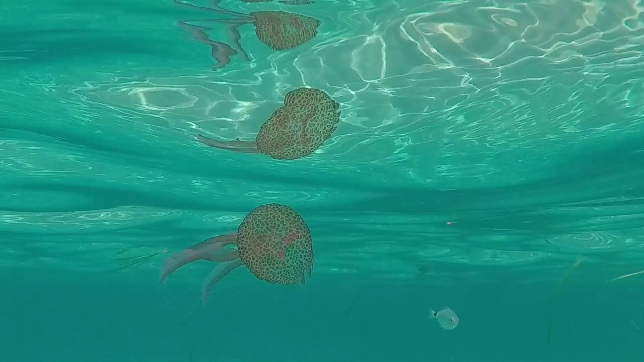 Arcipelago de La Maddalena