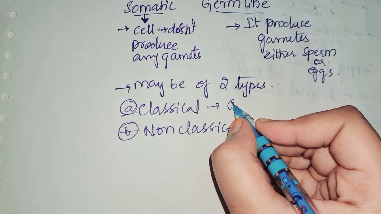 Gene therapy #types #target