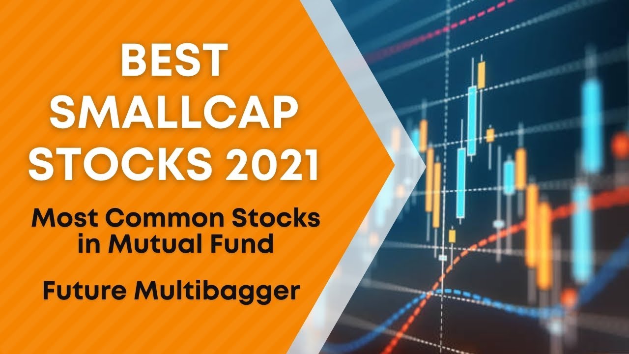 Best Small Cap Stocks 2021 | Future Multibagger | Most Common Stocks in Mutual Funds