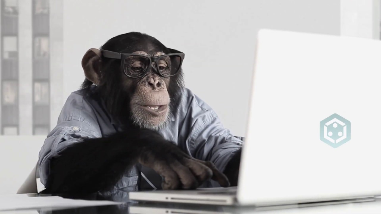 SmartCrowd.ae | Marcel, a #chimpanzee that earns more #money than you!