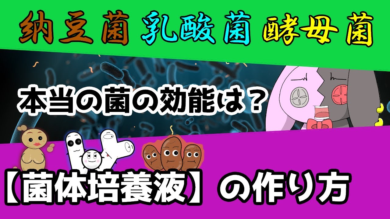 ＃11【菌体培養液】の作り方！菌達はあなたの見方です(∩´∀｀)∩納豆菌の真の力！・乳酸菌にライバルが？・酵母菌はﾀﾋんでから勝負！