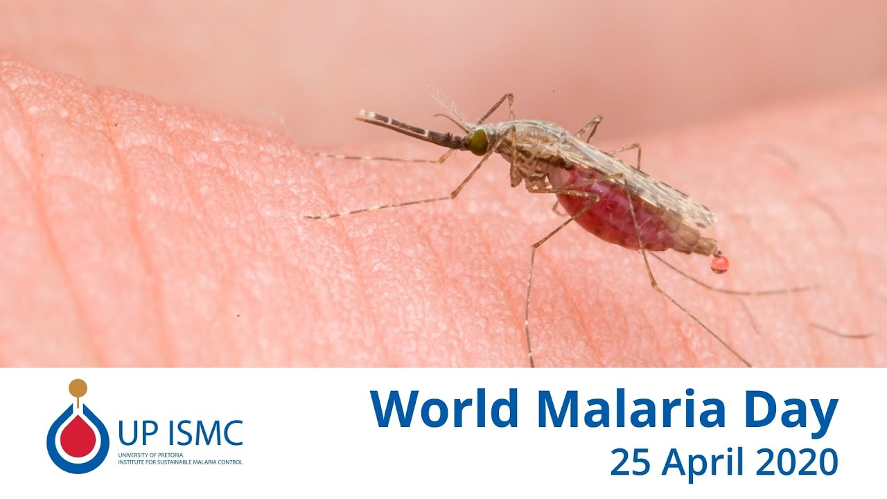 World Malaria Day 2020
