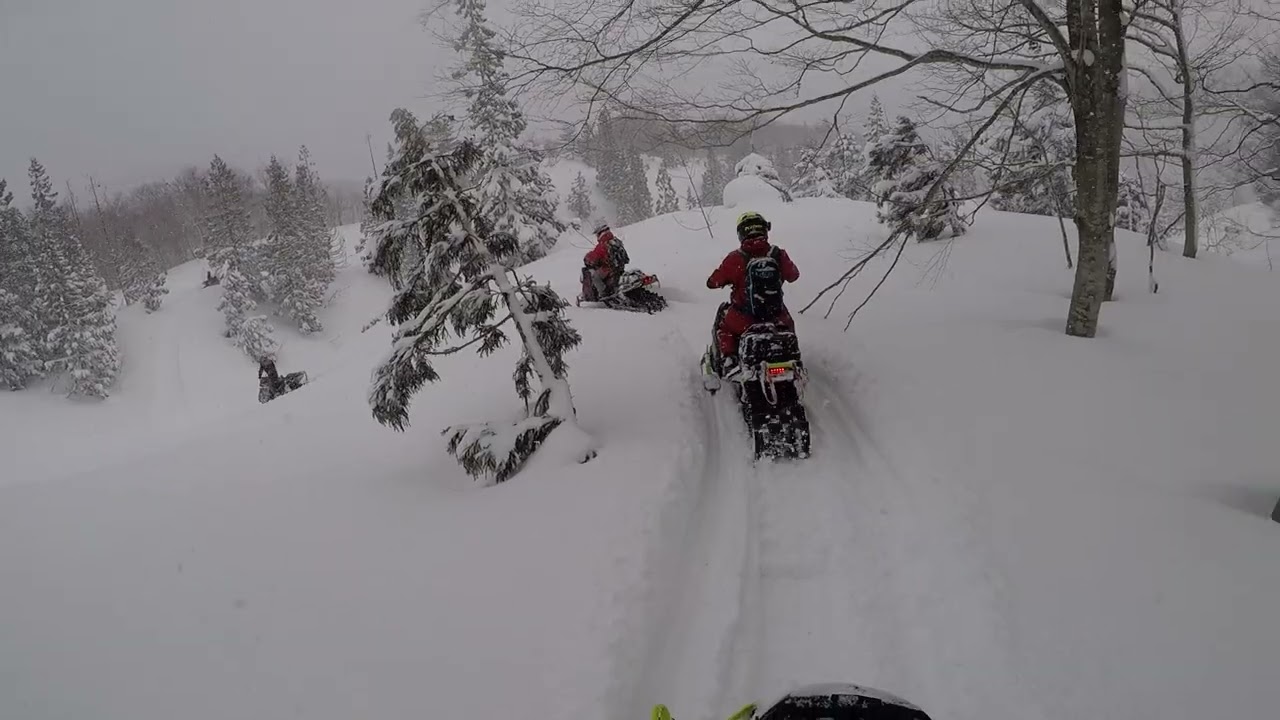 ここでUターン　落とし物を