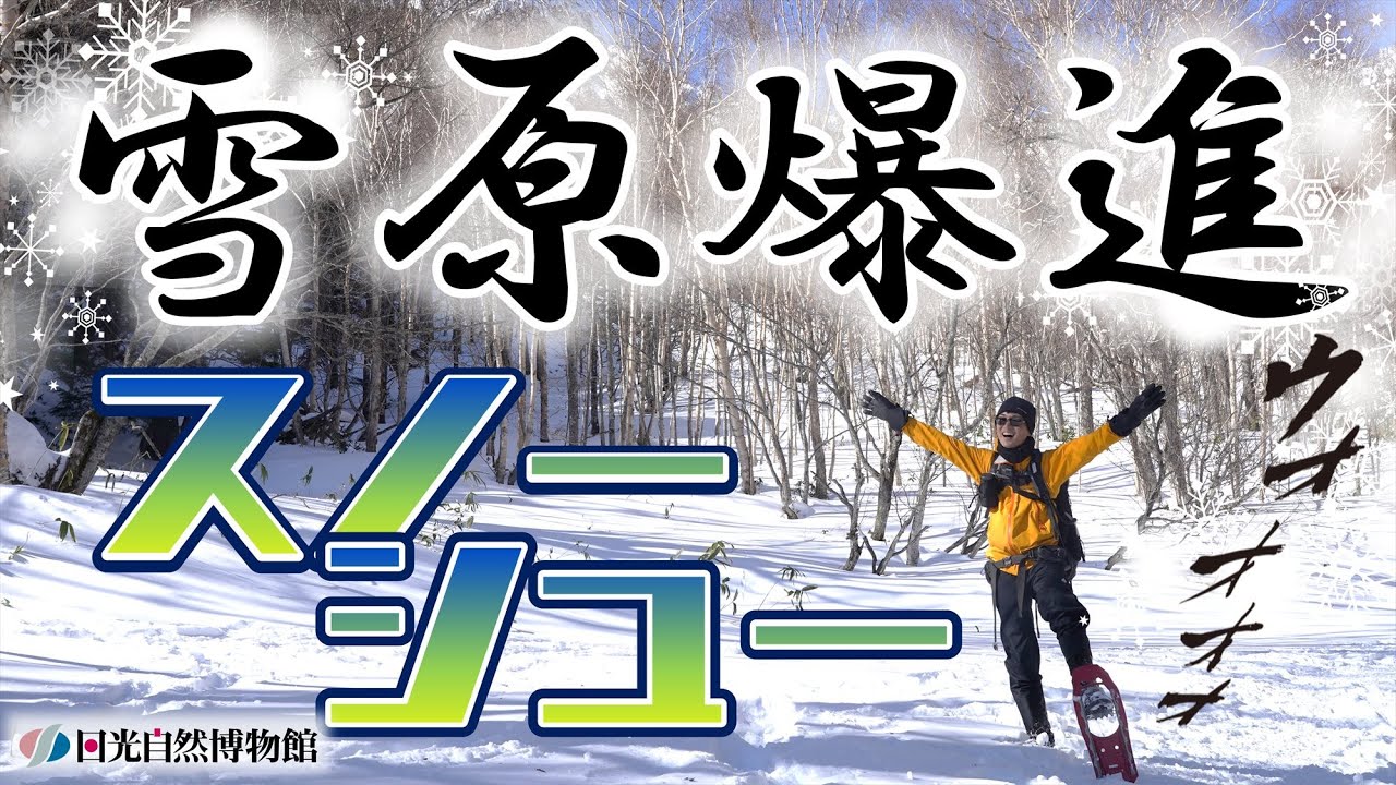 奥日光の王道ウィンターアクティビティ・スノーシューで雪原を爆走してきた！！（奥日光・2024／1／30 湯元スノーシューコース）