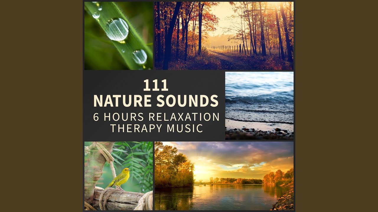 Celtic Harp Music: Sleep Aid