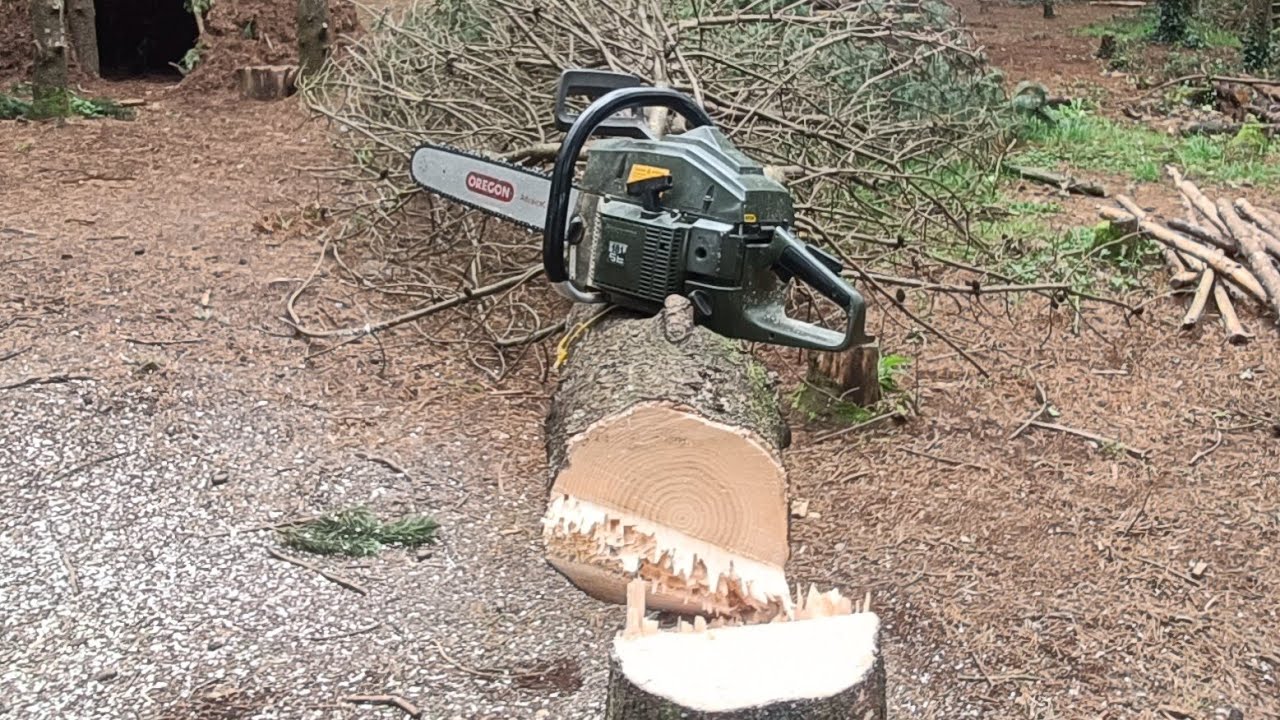 Husqvarna 181 Se Cutting The Biggest Tree In Red Branch