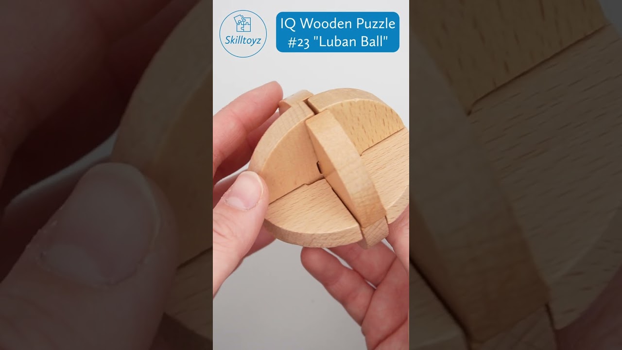 IQ Wooden 3D Puzzle Number 23 
