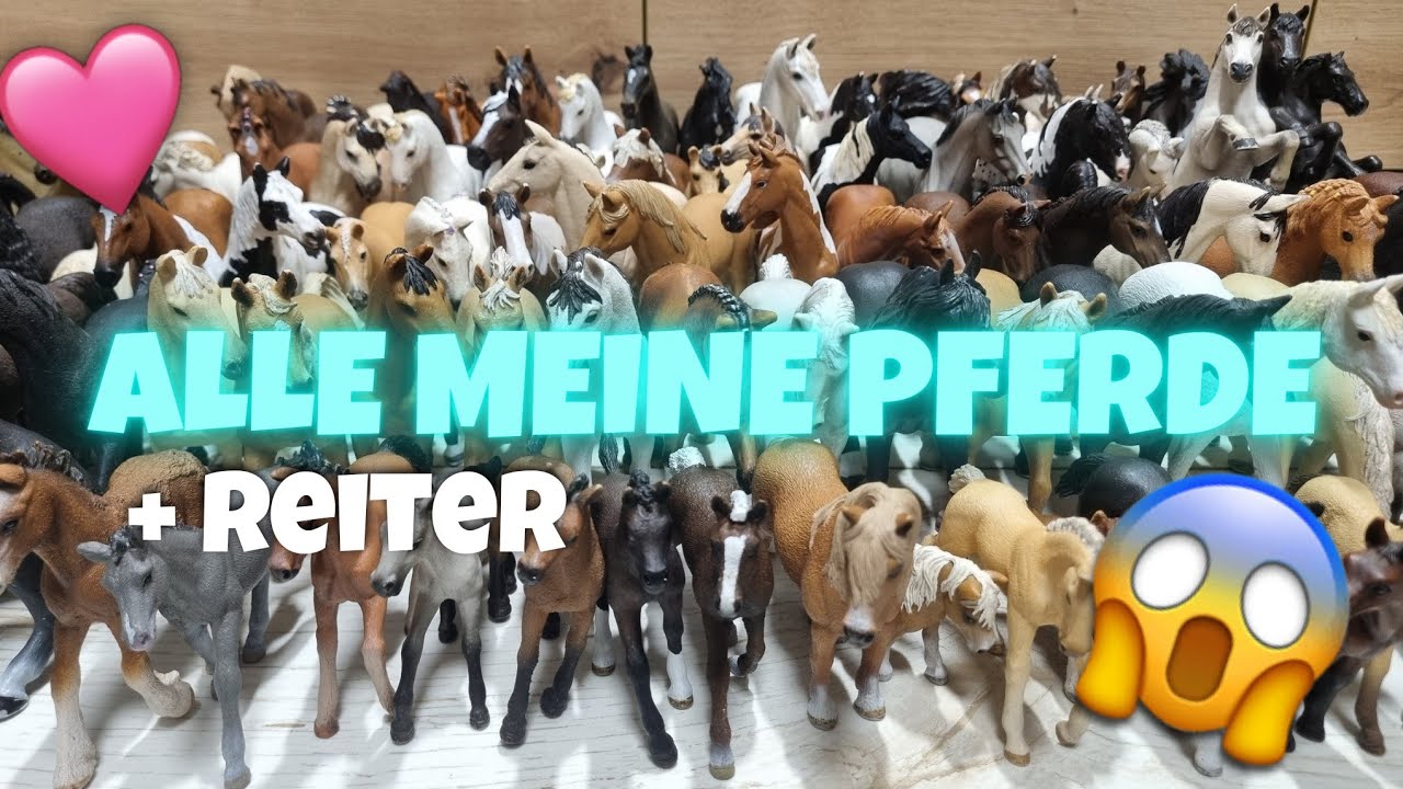 ALLE meine PFERDE+ Reiter 😱🎊Silvesterspecial+ Abospecial😍🥳[63K]